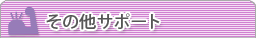 ���̑��T�|�[�g